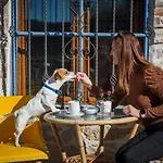 Ponte Porton Dining & 4* Grožnjan